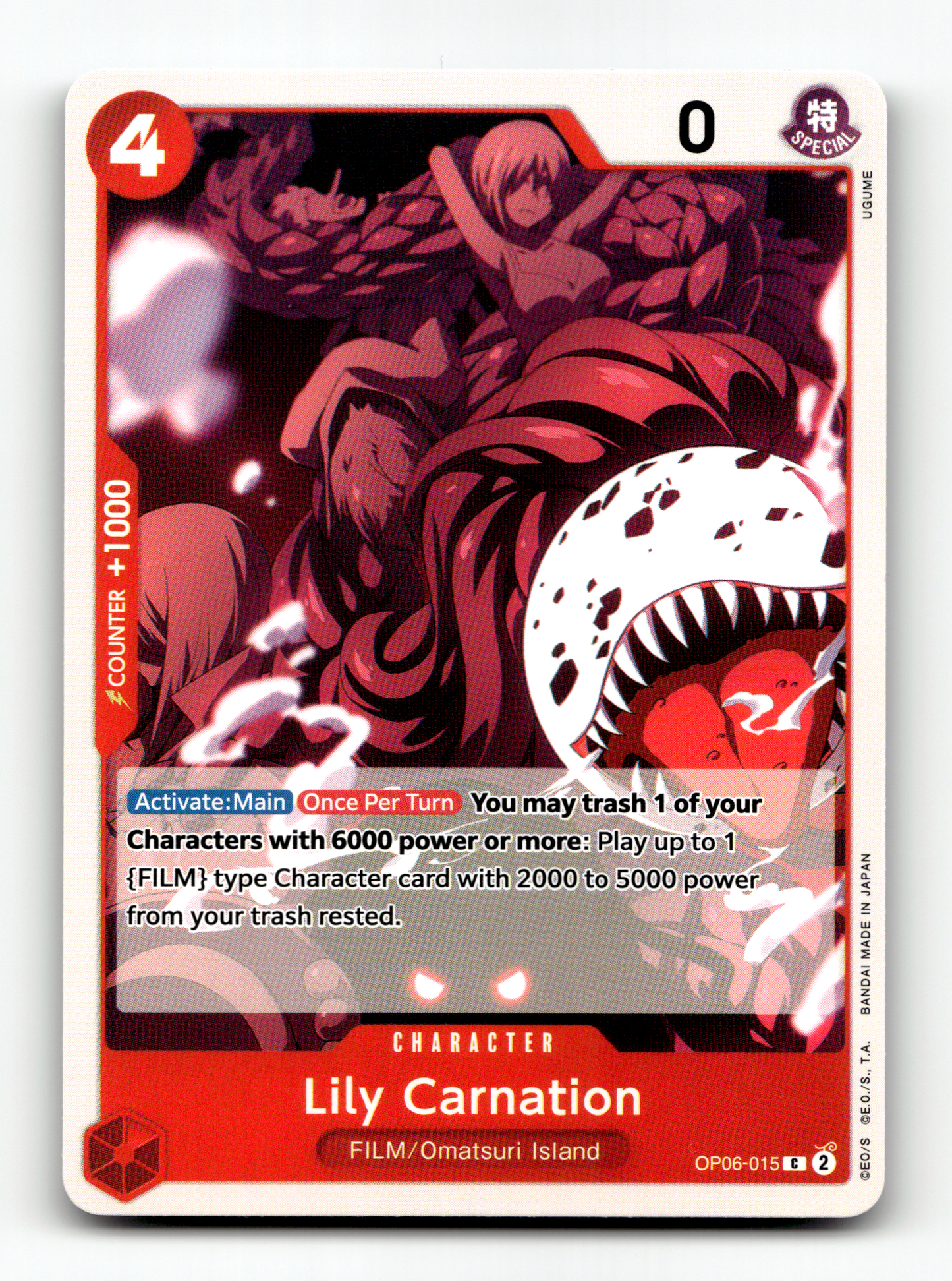 Lily Carnation