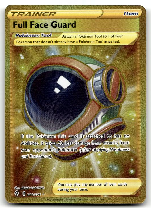 Full Face Guard