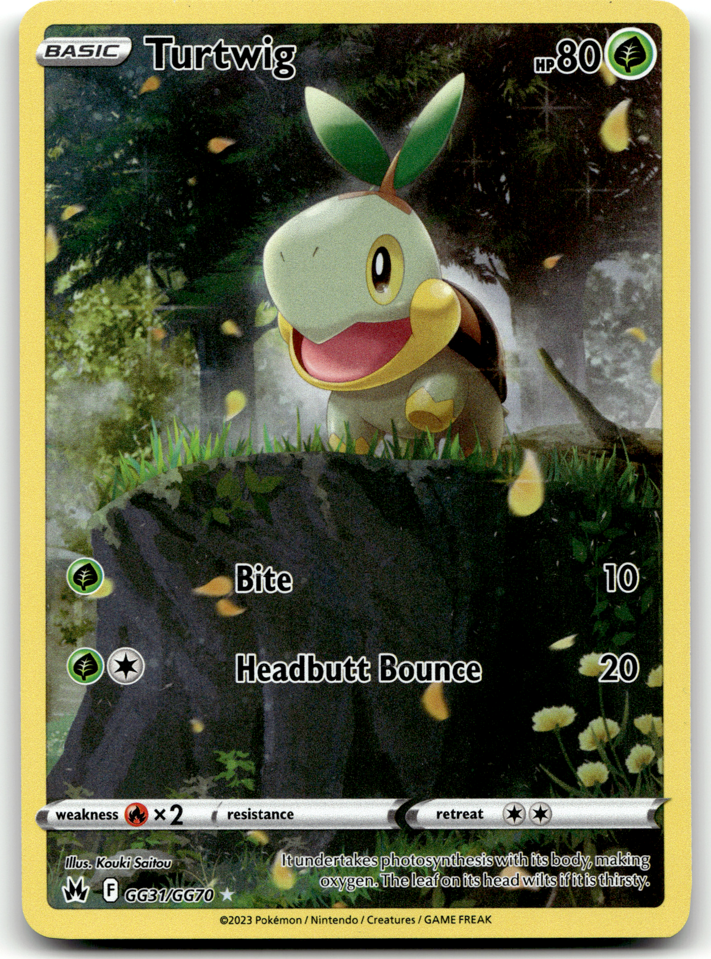 Turtwig