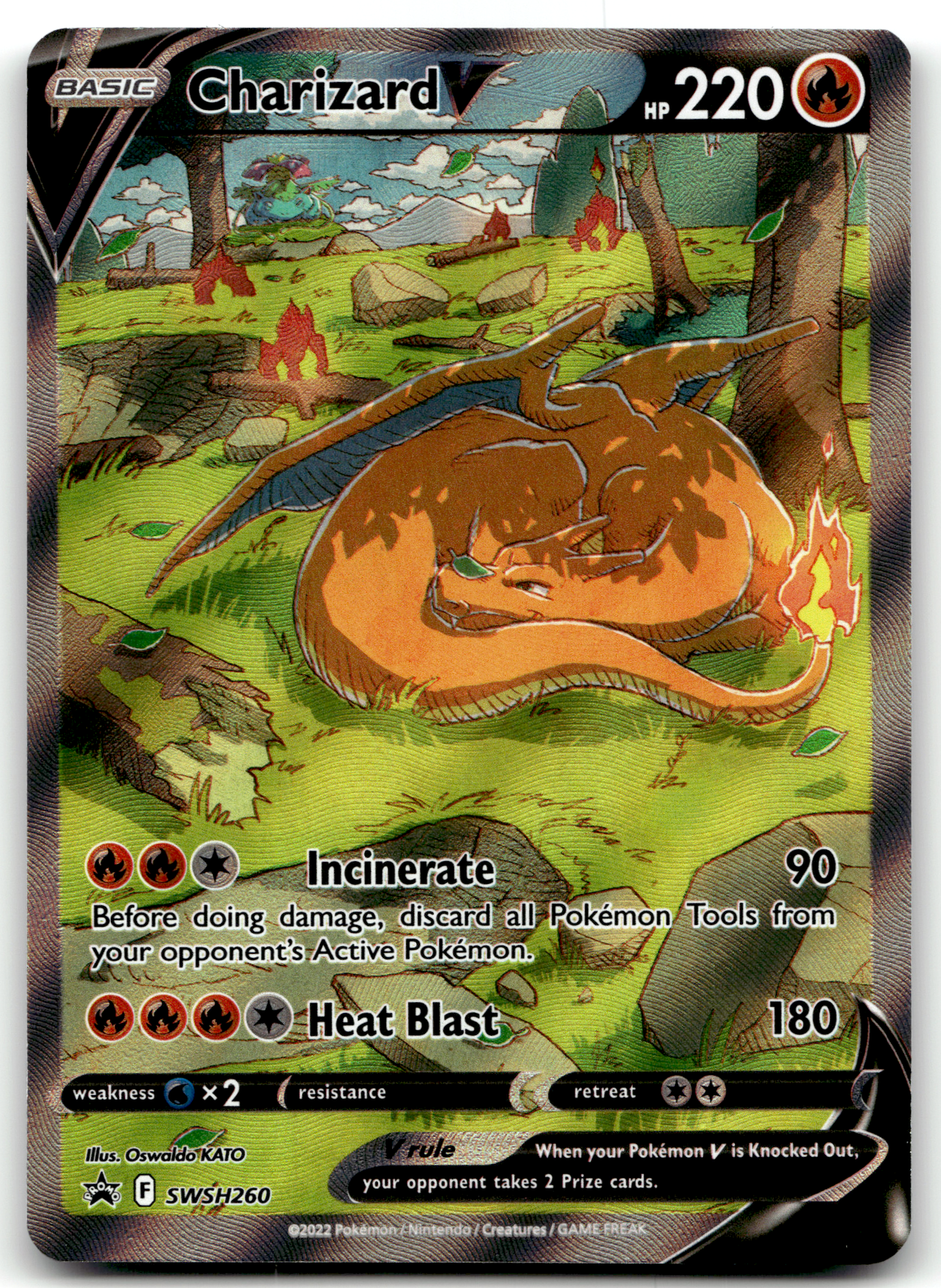 Charizard V