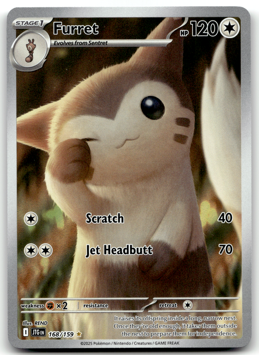 Furret