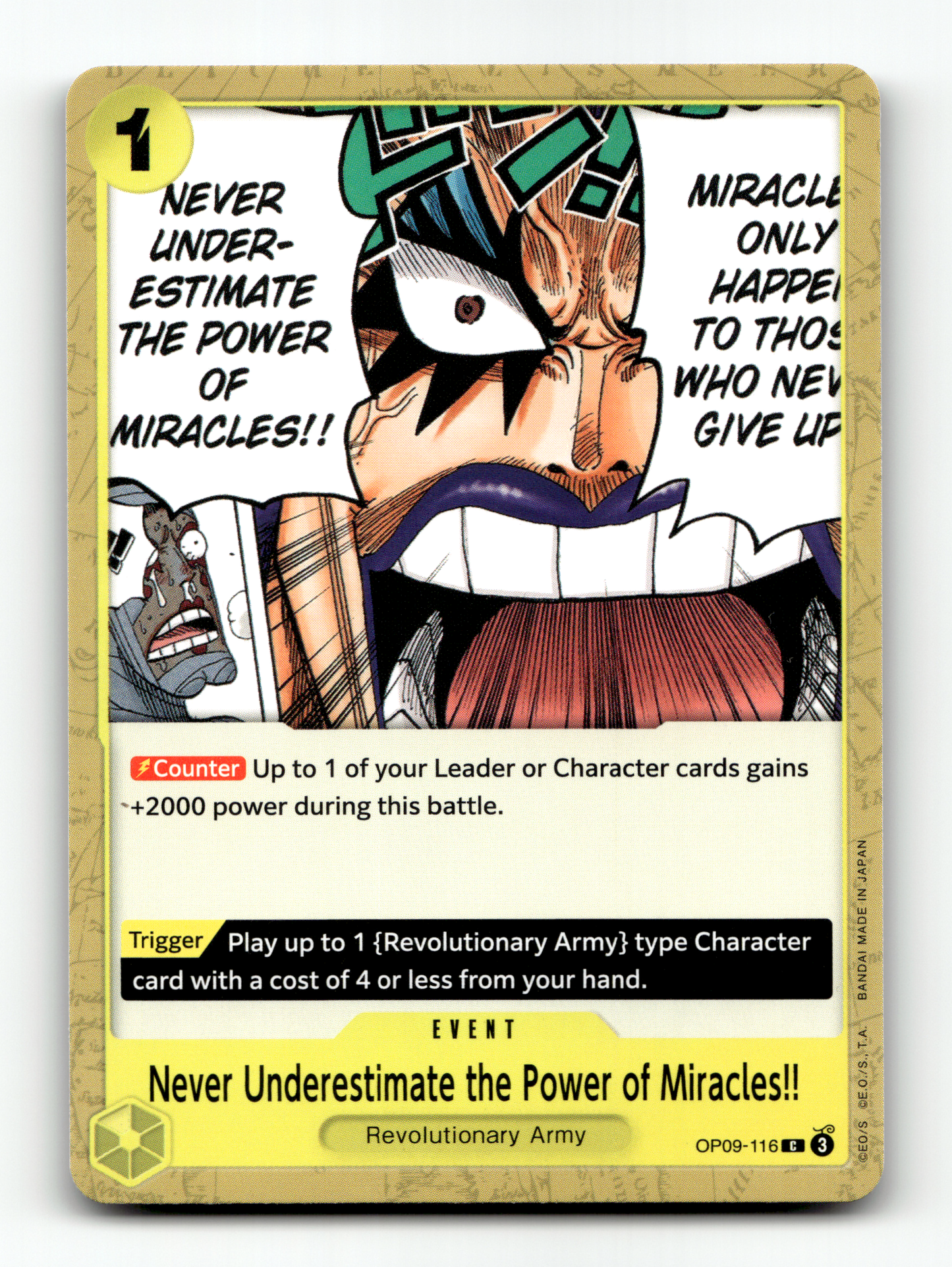 Never Underestimate the Power of Miracles!!