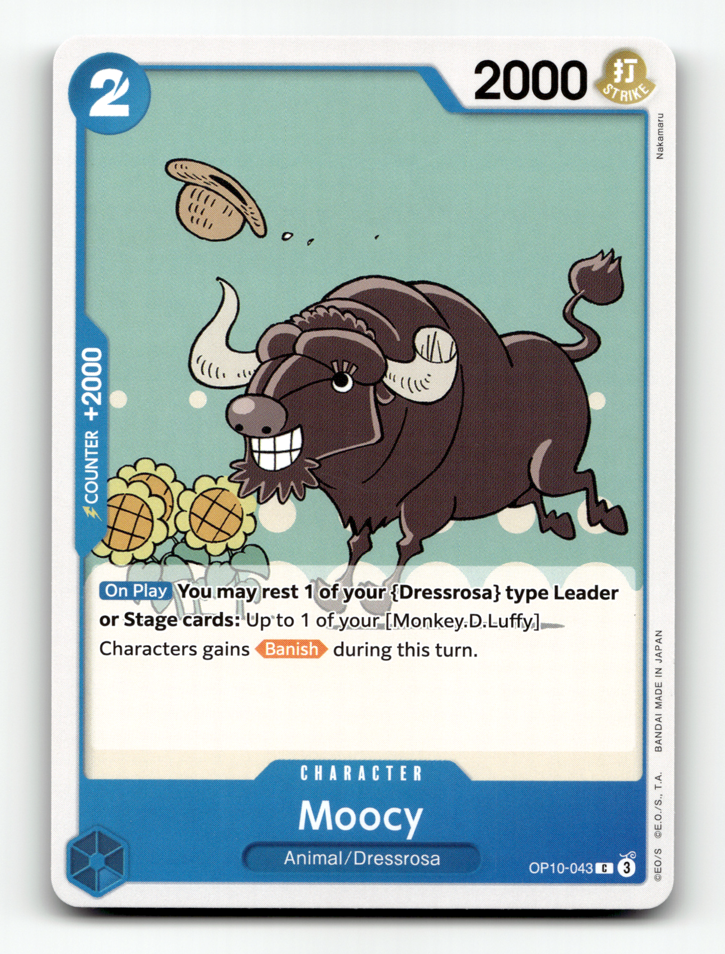 Moocy