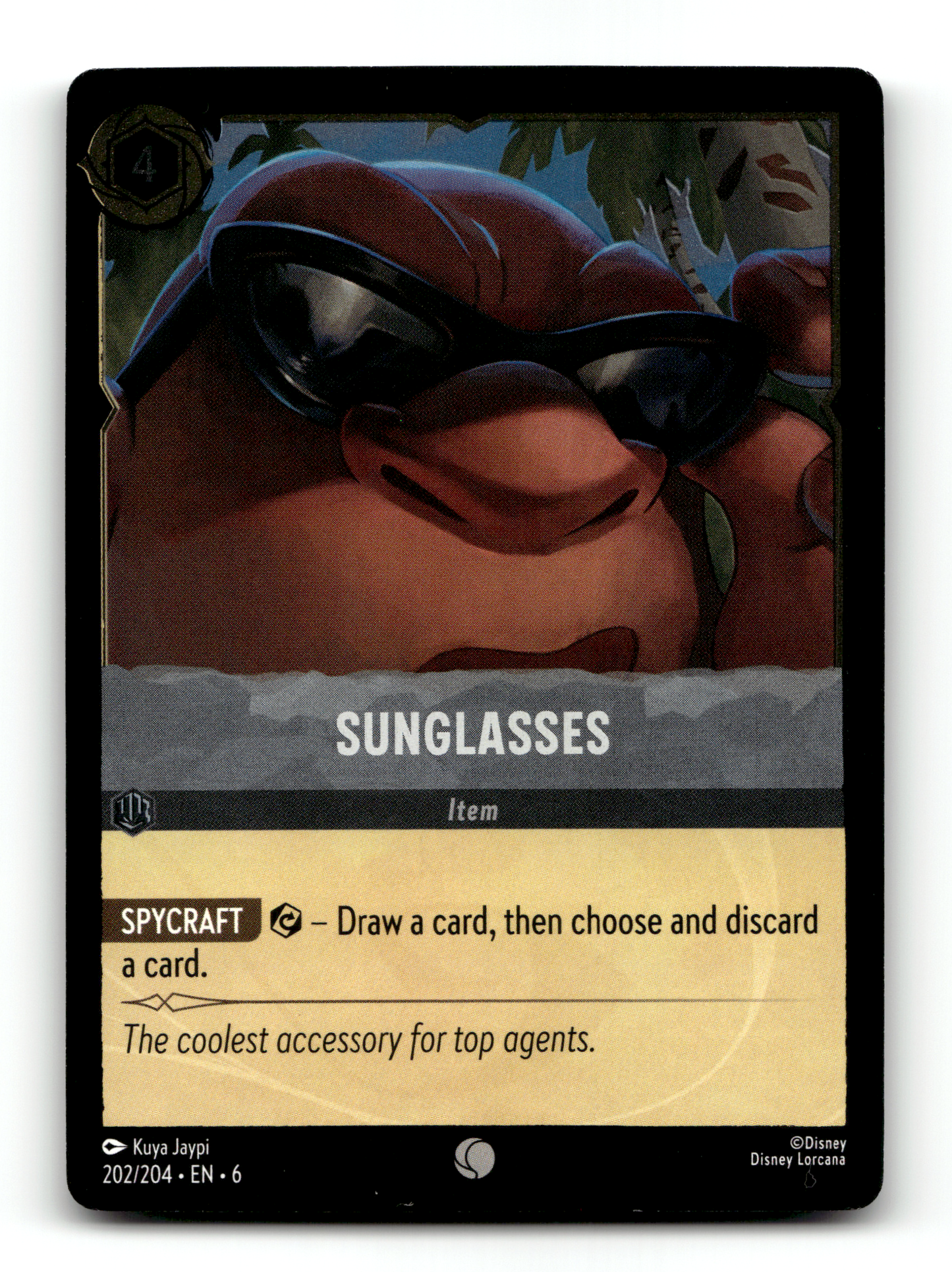 Sunglasses